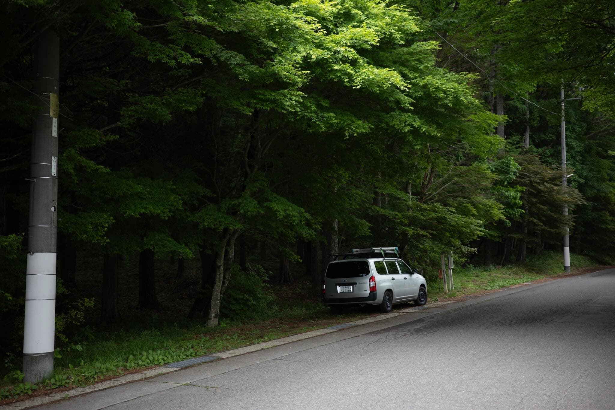 深い緑の木立に沿った山道の路肩に、ルーフキャリアを積んだ白いバンが一台停まっている