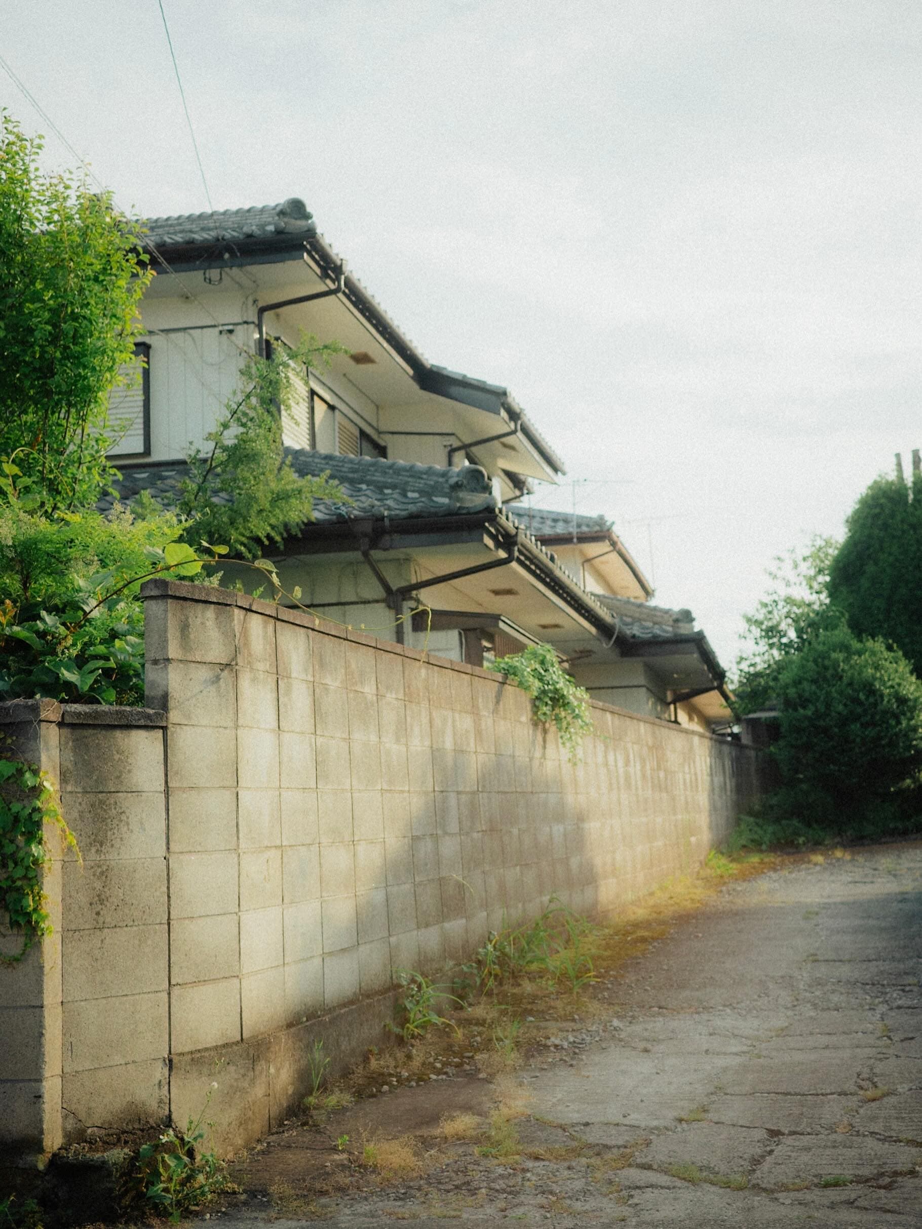 曇り空の下、蔦の絡んだコンクリートブロック塀が続き、その奥に瓦屋根の二階建て住宅が並んでいる