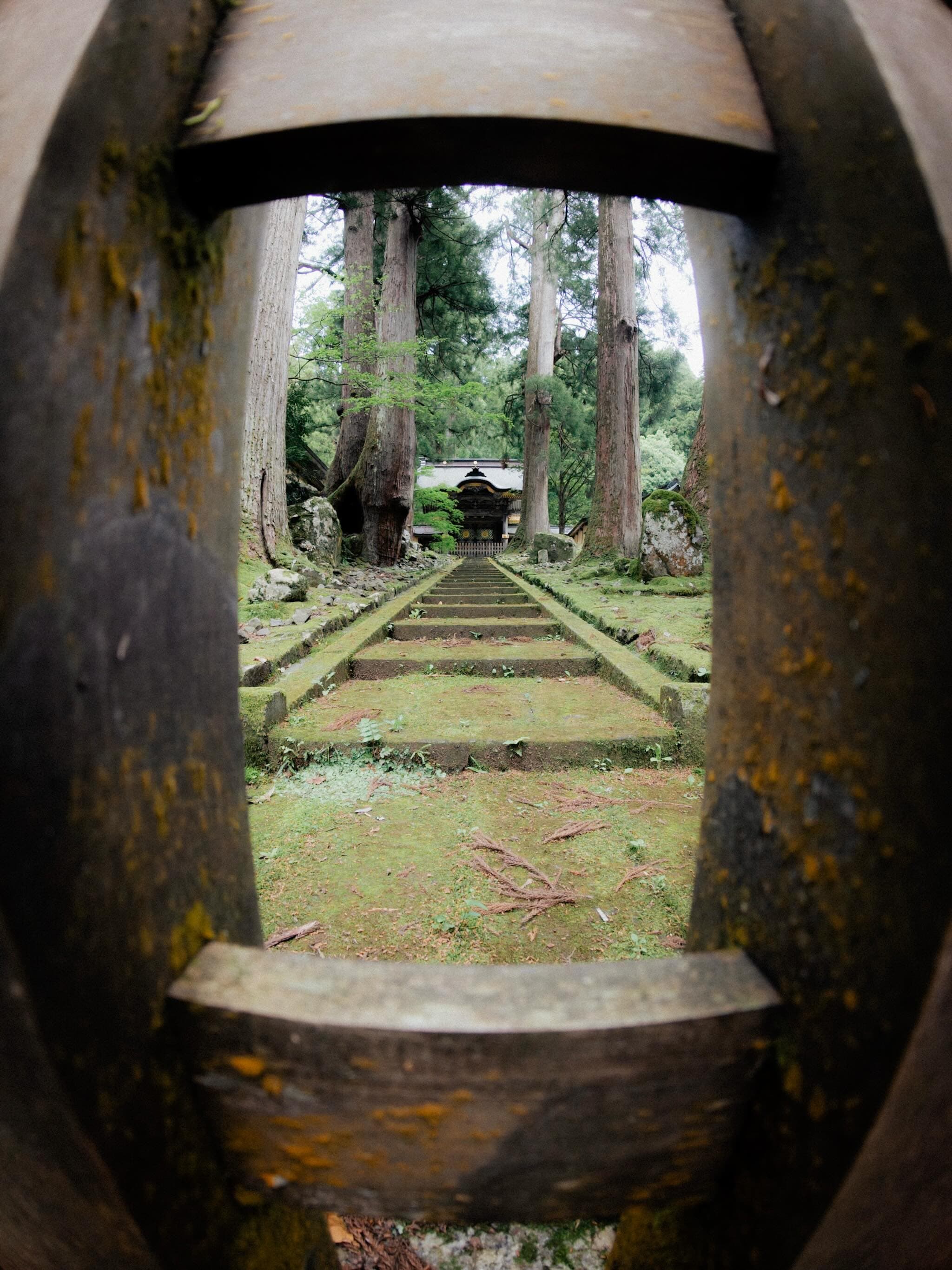 木の欄干の隙間から見た石段。苔むした参道が奥の山門へまっすぐ続き、両脇に太い杉の幹が何本も立っている